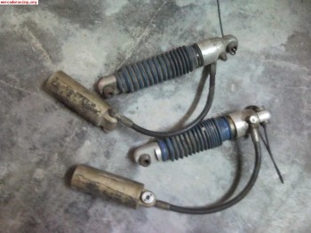 Amortiguadores traseros 106 proflex