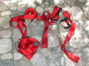 Cinturones rojos para r5 gt turbo