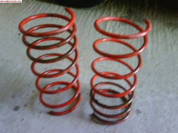 Muelles selex rojos saxo/106