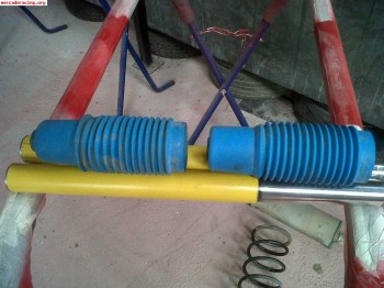  suspension saxo blistein 