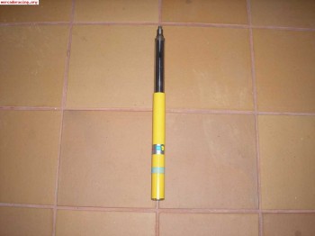 Oferta 1 blistein para saxo o 106 gordo