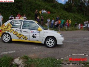 Suspension para saxo, 106.