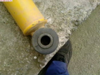 Selex amarillos traseros