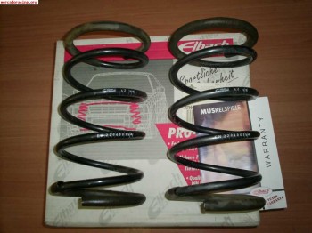 Eibach saxo 90 euros