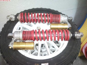 2 amortiguadores olhins