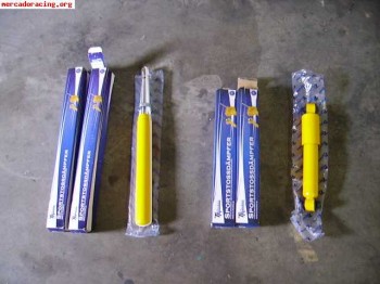 Amortiguadores ta technix ax-saxo-106