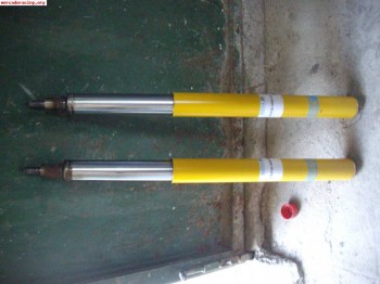 Vendo bilstein bastago gord 106/saxo/ax