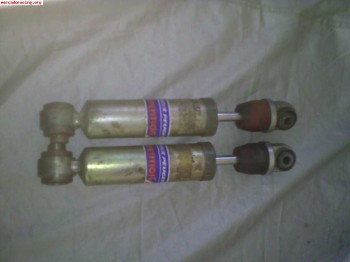 Pts traseros tierra saxo ax 106