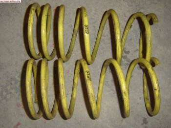 Muelles apex para ax
