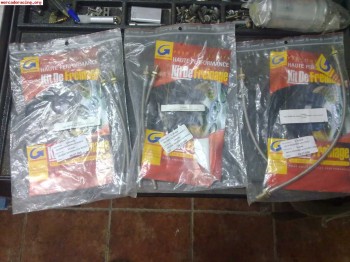 Latiguillos metalicos de cosworth