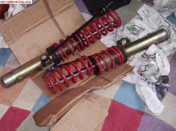 Selex gold (roscadas)