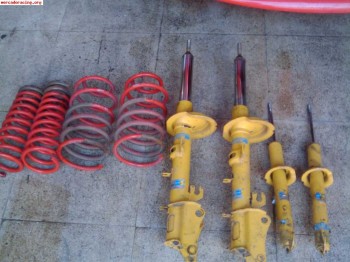 Blistein y eibach para 156 o 147