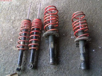 Muelles selex para ibiza 6l