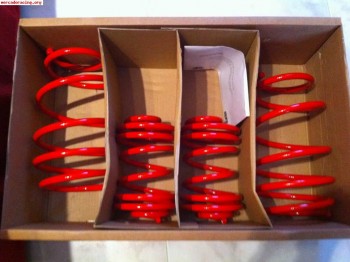 Se venden muelles sp para  clio homologado sin estrenar