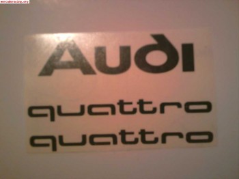 Pegatinas audi quattro originales varios tamaños y colores