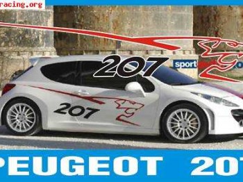 Pegatinas peugeot 207 laterales con leon.80 e todas