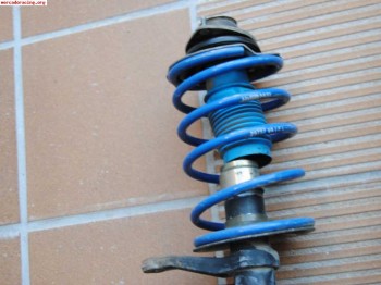 Suspension delantera blistein de 40mm con muelles eibach