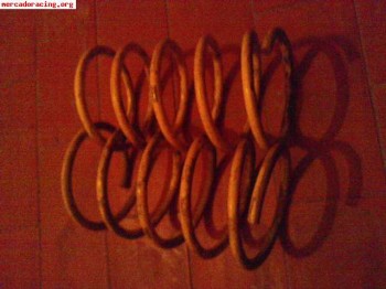 Muelles apex peugeot 106