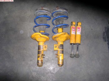 Koni y selex 205/309