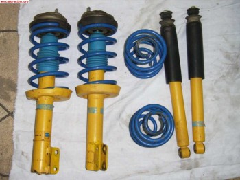 Bilstein bastago gordo