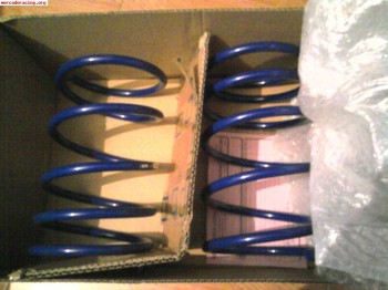 Muelles saxo. 106 y alguno mas