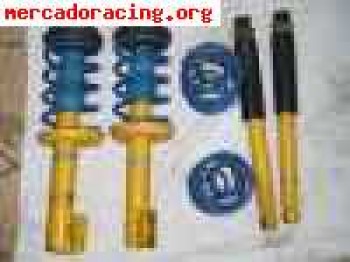 Bilstein bastago gordo