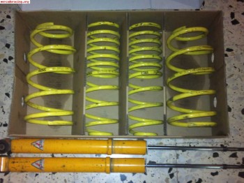 Muelles y amortiguadores traseros para golf iii