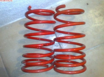 Muelles selex clio 1.8 16v o clio williams nuevos