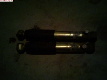 Amotiguadores avo regulabres 205