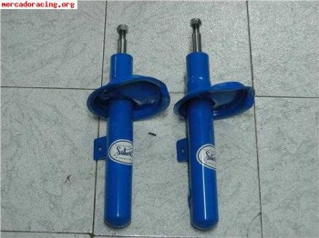 Elex delanteros 306 sxara 