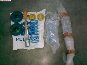 Suspensiones pts para 205 gti 1500 €
