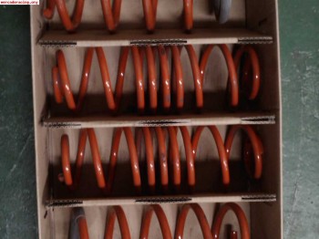 Muelles oni 4cms peugeot 207