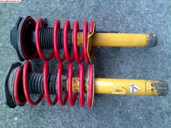 Muelles selex para zx