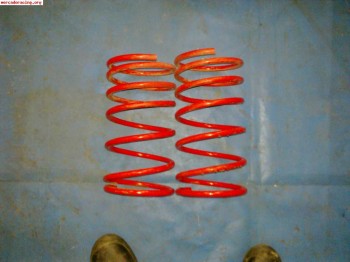 Muelles -4.5 para saxo/106