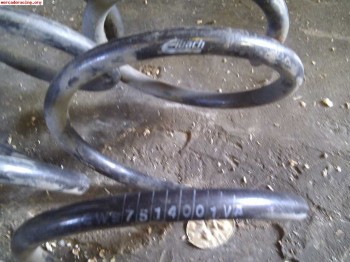 Vendo muelles eibach clio 16v