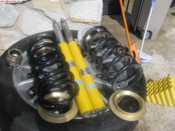 Suspension bilstein  saxo