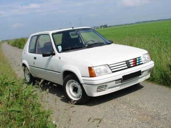 Vendo aletines de 205 rally