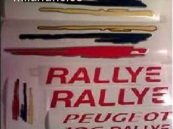 Pegatinas 106 rallye fase ii como las originales 50e