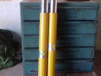 Amotiguadores  bilstein y muelles eibach para saxo, ax , 106