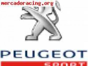 !!!atencion¡¡¡ suspension trasera 206 desafio