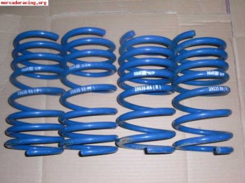 Muelles hyr de escort rs turbo