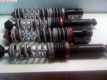 Busco kw v2 o pss9 leon 1m