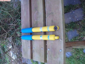 Amortiguadores bilstein traseros