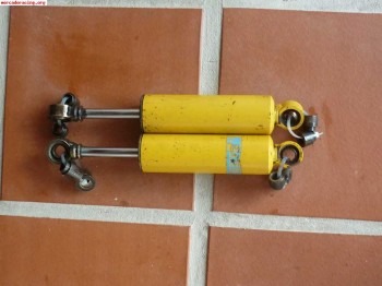 Amortiguadores bilstein traseros saxo,106