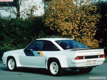 Pegatinas peugeot sport varios tipos,techo,luna delantera...