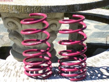 Vendo muelles clio 16v