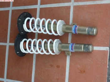 Suspension delantera pts peugeot 206