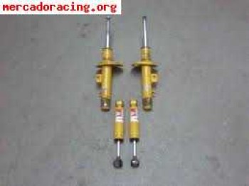 Koni amarillos fiesta s o st.