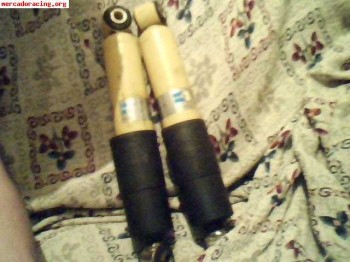 Blistein traseros para 205 gti 