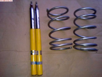 Blistein para saxo 106